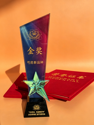 获奖奖杯照片